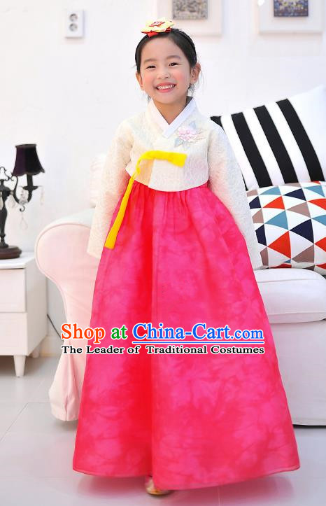 Asian Korean National Handmade Formal Occasions Wedding Embroidered White Blouse and Pink Dress Traditional Palace Hanbok Costume for Kids