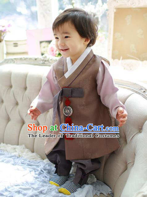 Asian Korean National Traditional Handmade Formal Occasions Boys Embroidery Brown Vest Hanbok Costume Complete Set for Kids