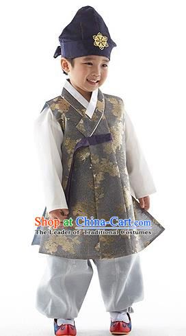 Asian Korean National Traditional Handmade Formal Occasions Boys Embroidery Grey Vest Hanbok Costume Complete Set for Kids