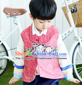 Asian Korean National Traditional Handmade Formal Occasions Boys Embroidery Pink Vest Hanbok Costume Complete Set for Kids