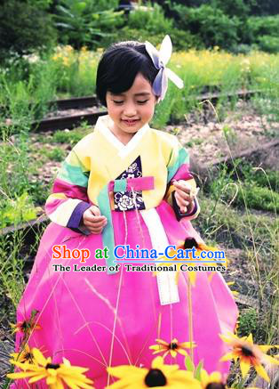 Asian Korean National Handmade Formal Occasions Wedding Bride Clothing Embroidered Yellow Blouse and Pink Dress Palace Hanbok Costume for Kids