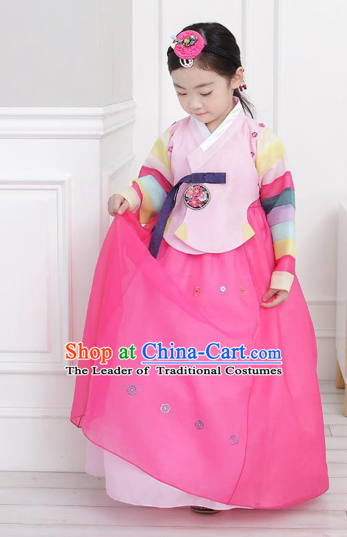 Asian Korean National Handmade Formal Occasions Wedding Girls Clothing Embroidered Pink Blouse and Dress Palace Hanbok Costume for Kids