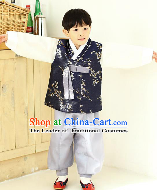 Asian Korean National Traditional Handmade Formal Occasions Boys Embroidery Navy Vest Hanbok Costume Complete Set for Kids