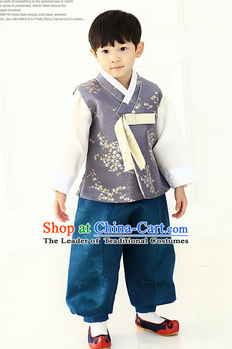 Asian Korean National Traditional Handmade Formal Occasions Boys Embroidery Grey Vest Hanbok Costume Complete Set for Kids