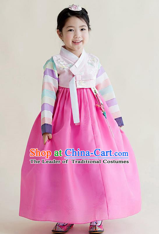 Asian Korean National Handmade Formal Occasions Wedding Girls Clothing Embroidered Pink Blouse and Dress Palace Hanbok Costume for Kids