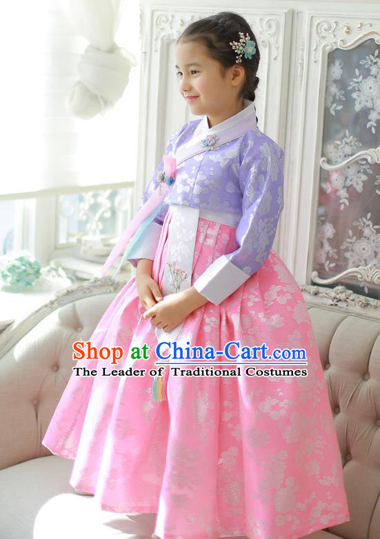 Asian Korean National Handmade Formal Occasions Wedding Girls Clothing Embroidered Purple Blouse and Pink Dress Palace Hanbok Costume for Kids