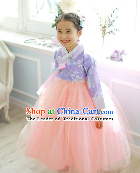 Asian Korean National Handmade Formal Occasions Wedding Girls Clothing Embroidered Purple Blouse and Pink Veil Dress Palace Hanbok Costume for Kids