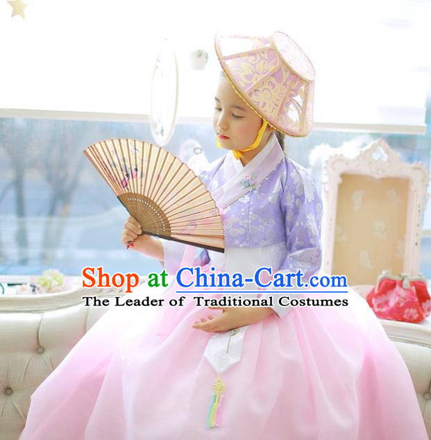 Asian Korean National Handmade Formal Occasions Wedding Girls Clothing Embroidered Purple Blouse and Pink Dress Palace Hanbok Costume for Kids