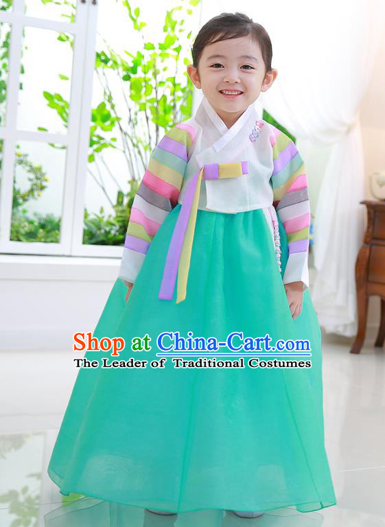 Korean National Handmade Formal Occasions Girls Clothing Palace Hanbok Costume Embroidered White Blouse and Green Dress for Kids