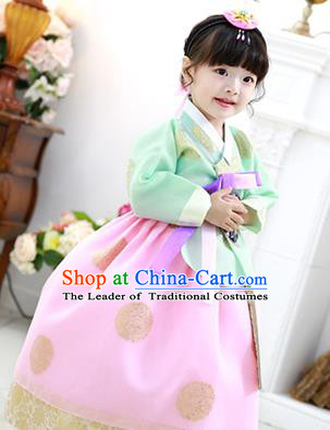 Korean National Handmade Formal Occasions Girls Clothing Palace Hanbok Costume Embroidered Green Blouse and Pink Dress for Kids