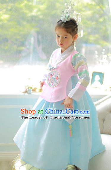 Korean National Handmade Formal Occasions Girls Clothing Palace Hanbok Costume Embroidered Pink Blouse and Blue Dress for Kids