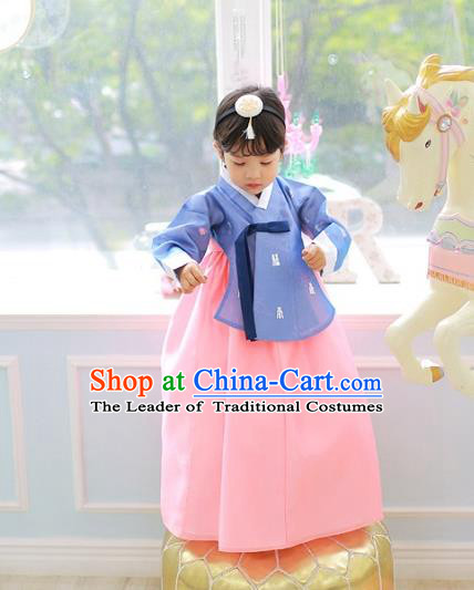 Korean National Handmade Formal Occasions Girls Clothing Palace Hanbok Costume Embroidered Blue Blouse and Pink Dress for Kids