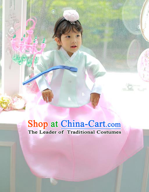 Korean National Handmade Formal Occasions Girls Clothing Palace Hanbok Costume Embroidered Green Blouse and Pink Dress for Kids