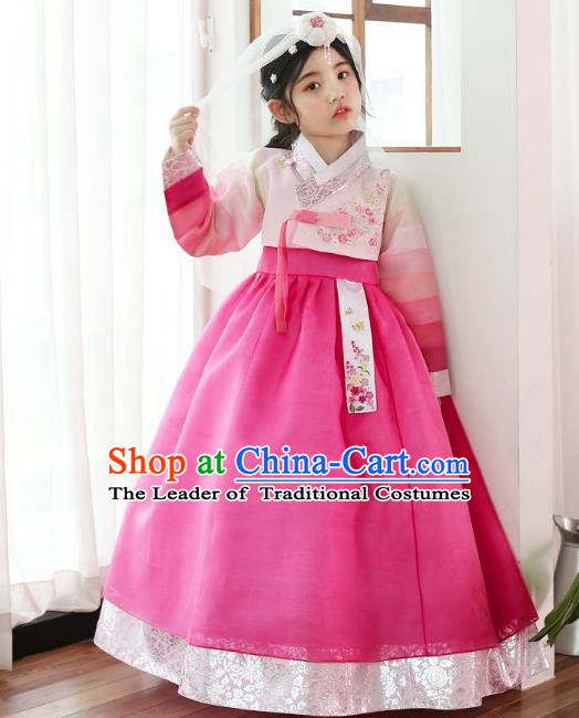 Traditional Korean National Handmade Formal Occasions Girls Clothing Palace Hanbok Costume Embroidered Pink Blouse and Rosy Dress for Kids