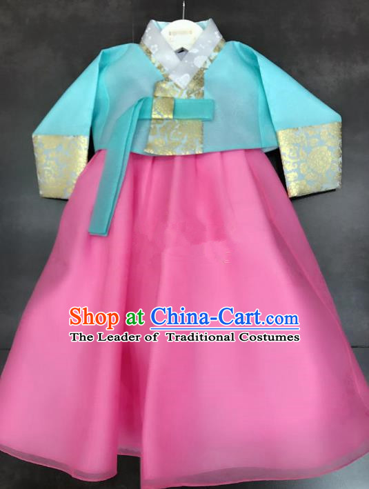 Korean National Handmade Formal Occasions Girls Clothing Palace Hanbok Costume Embroidered Blue Blouse and Pink Dress for Kids