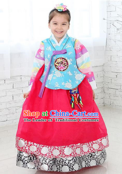 Traditional Korean National Handmade Formal Occasions Girls Clothing Palace Hanbok Costume Embroidered Blue Blouse and Red Dress for Kids