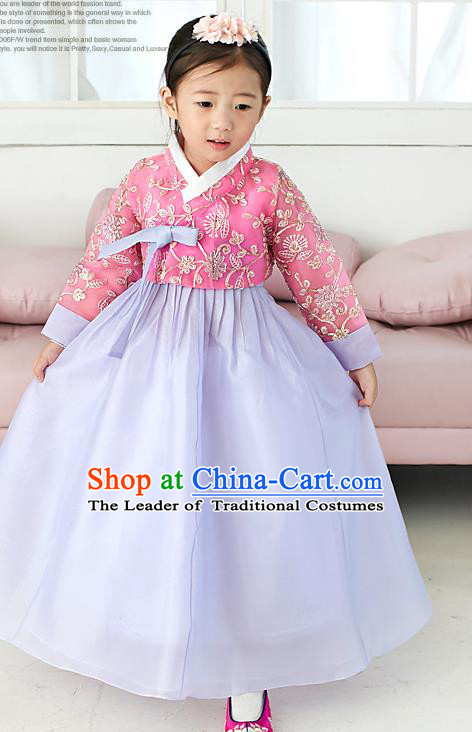 Traditional Korean National Handmade Formal Occasions Girls Palace Hanbok Costume Embroidered Red Blouse and Purple Dress for Kids