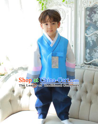 Asian Korean National Traditional Handmade Formal Occasions Boys Embroidery Blue Vest Hanbok Costume Complete Set for Kids