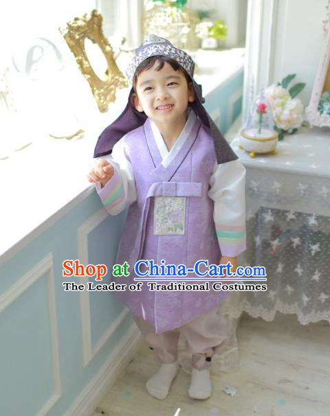 Asian Korean National Traditional Handmade Formal Occasions Boys Embroidery Purple Vest Hanbok Costume Complete Set for Kids