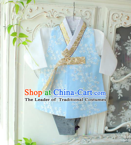 Asian Korean National Traditional Handmade Formal Occasions Boys Embroidery Blue Vest Hanbok Costume Complete Set for Kids