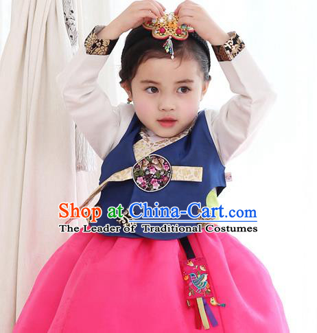 Traditional Korean National Handmade Court Embroidered Costume, Asian Korean Girls Hanbok Clothing for Kids