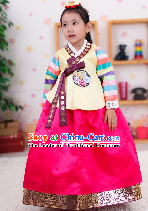 Traditional Korean Handmade Formal Occasions Embroidered Girls Wedding Costume Palace Hanbok Clothing for Kids