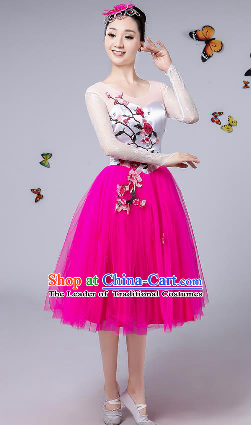 Traditional Chinese Modern Dance Opening Dance Clothing Chorus Rosy Veil Dress Costume for Women