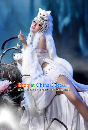 Traditional Ancient Chinese Cosplay Funsbau Costume for Women