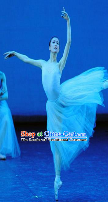 Traditional Modern Dancing Compere Costume, Female Opening Classic Chorus Singing Group Dance Bubble Dress Tu Tu Dancewear, Modern Dance Classic Ballet Dance Long Veil Dress for Women