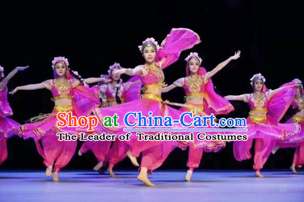 Traditional Chinese Mongol Nationality Dancing Costume, Mongols Female Folk Indian Dance Clothing, Chinese Belly Dance Embroidery Rosy Costume for Women