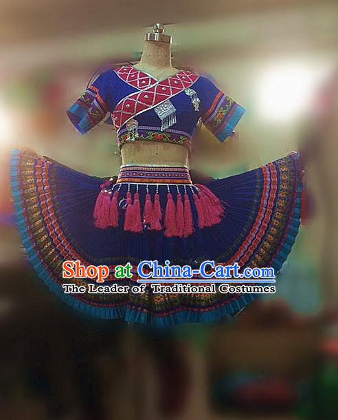 Traditional Chinese Miao Nationality Dancing Costume, Hmong Female Folk Dance Ethnic Pleated Skirt, Chinese Minority Nationality Embroidery Costume for Women