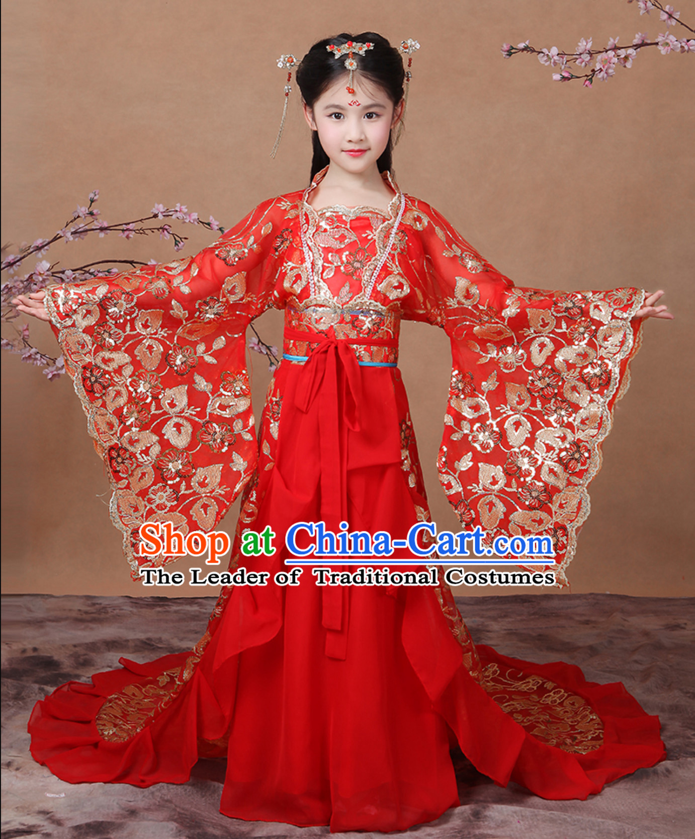Ancient Chinese Palace Royal Princess Costume Empress Costumes and Hair Accessories Complete Set for Girls