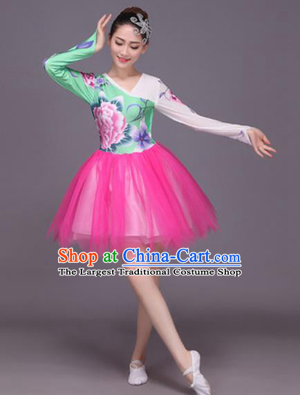 Chinese Classical Dance Costume Traditional Folk Dance Rosy Veil Dress for Women