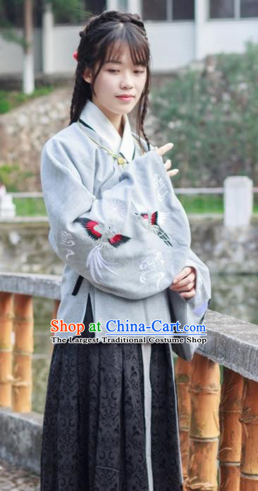 Traditional Chinese Ancient Ming Dynasty Princess Costumes for Rich Women