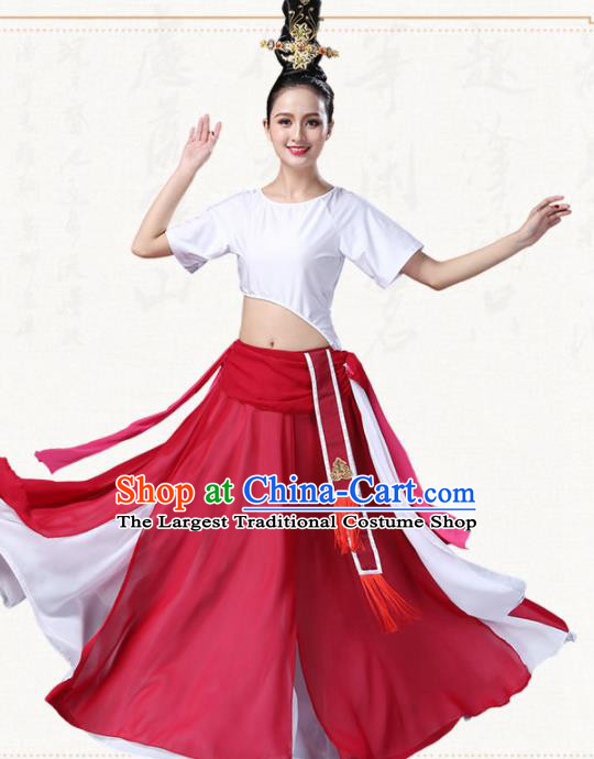 Chinese Traditional Classical Dance Dress Ancient Group Dance Costumes for Women