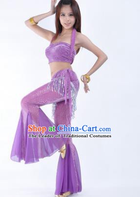 Traditional Indian Belly Dance Training Clothing India Oriental Dance Lilac Outfits for Women