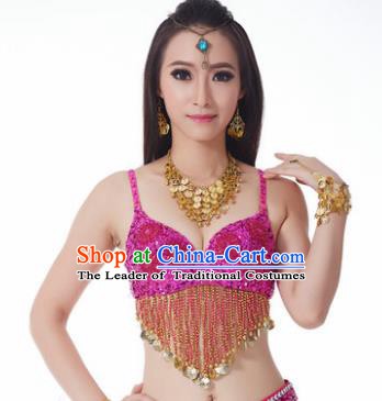 Indian Belly Dance Flowers Rosy Brassiere Asian India Oriental Dance Costume for Women