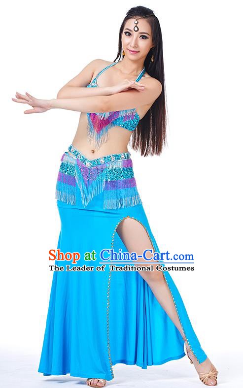 Egypt Belly Dance Blue Dress India Raks Sharki Oriental Dance Clothing for Women