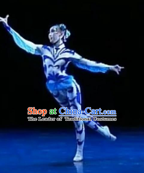 Traditional Chinese Folk Dance Ballet Costume, China Classical Dance Dress Clothing for Women