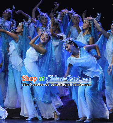 Chinese Traditional Folk Dance Costume Classical Dance Dress, China Hui Nationality Stage Performance Clothing for Women