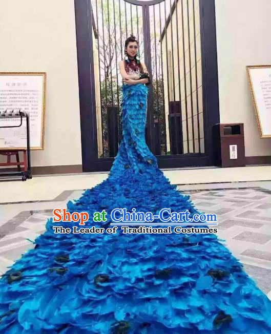 Brazilian Rio Carnival Samba Dance Costumes Catwalks Blue Feather Peacock Trailing Dress for Women