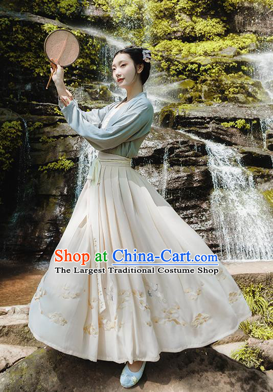 Traditional Chinese Song Dynasty Palace Princess Embroidered Costumes Complete Set for Women