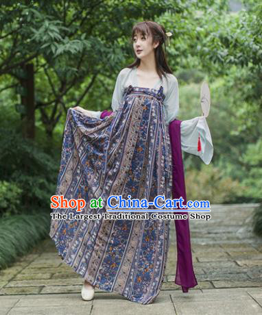 Traditional Chinese Tang Dynasty Maidenform Costume Ancient Princess Hanfu Dress for Women