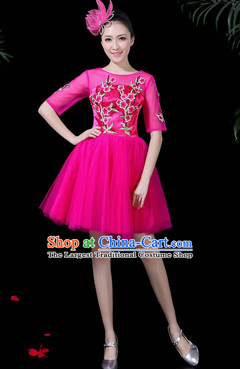 Professional Modern Dance Costume Chorus Rosy Bubble Veil Dress for Women