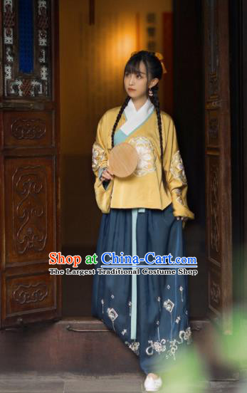 Chinese Traditional Ming Dynasty Replica Costumes Ancient Rich Lady Hanfu Dress for Women