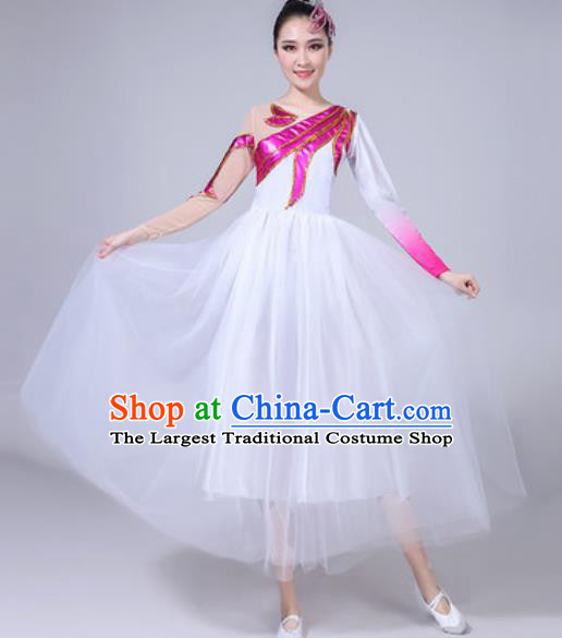 Top Grade Chorus Stage Show Costumes Group Dance Modern Dance White Veil Dress for Women