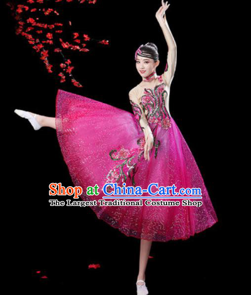 Top Grade Modern Dance Stage Show Costumes Chorus Group Dance Rosy Veil Dress for Women