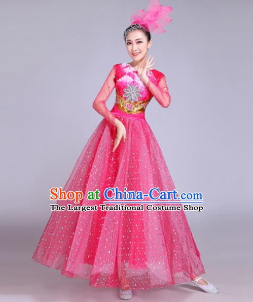 Professional Modern Dance Pink Veil Dress Stage Show Chorus Group Dance Costumes for Women