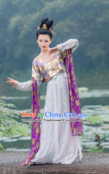 Chinese Traditional Tang Dynasty Princess Historical Costumes Ancient Peri Hanfu Dress for Women