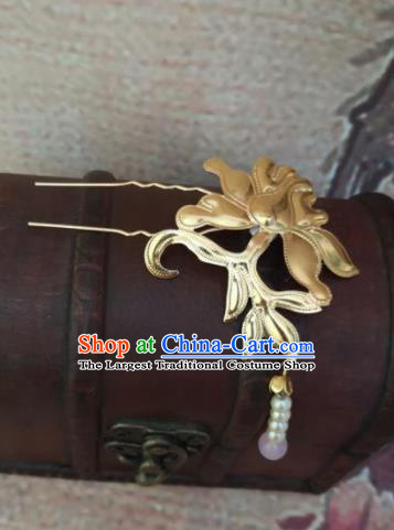 Chinese Traditional Princess Tassel Golden Hairpins Ancient Court Lady Hair Accessories for Women